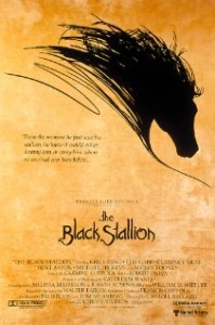 BlackStallion