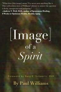 Image of a Spirit cover