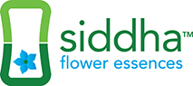 sidda_fe_color_logo