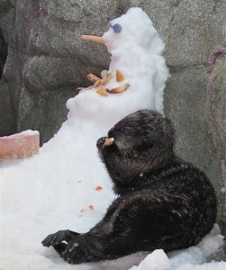 Otter & Snowman
